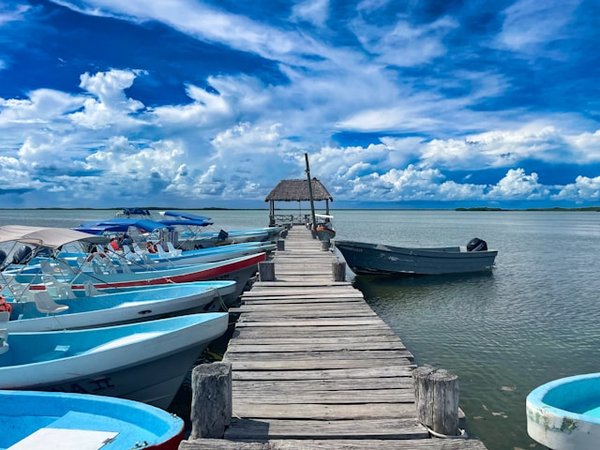Comment planifier une visite des réserves naturelles au Costa Rica?